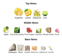 Roger That - Impression of Elysium by Roja Roger That - Impression of Elysium by Roja