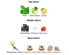 Rare Mixed - Impression of Versace Eros Rare Mixed - Impression of Versace Eros