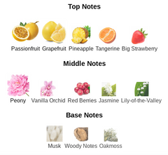 Bubbly Berries - Impression of Bombshell by Victoria's Secret