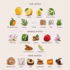 Lemon & Spice